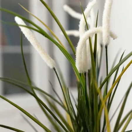 Rialto Gallery شقة