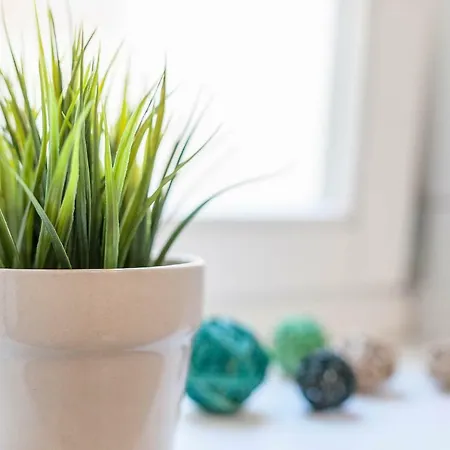 Rialto Gallery Apartamento