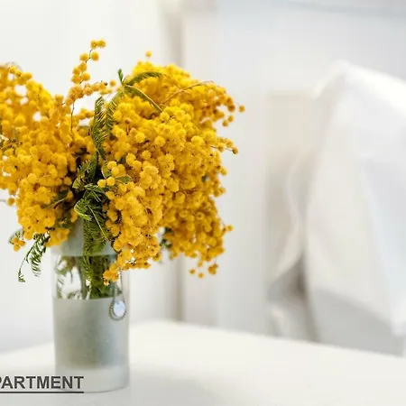 Apartamento Rialto Gallery *