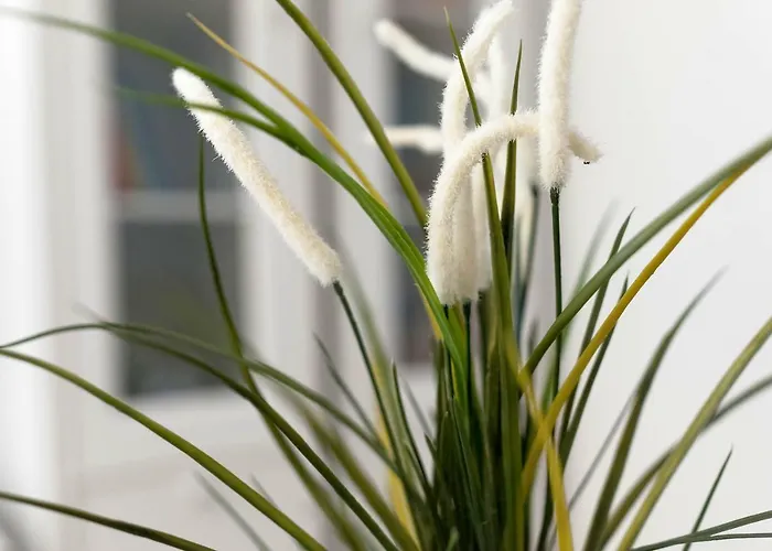 Rialto Gallery Appartamento