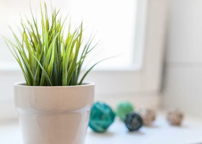 Rialto Gallery Appartamento